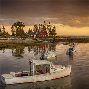 Maine Lobsterfest
