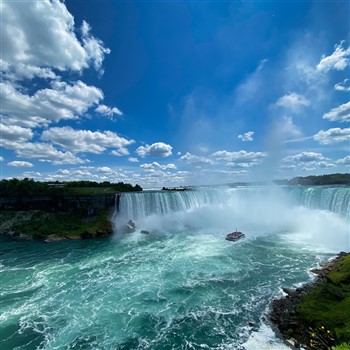 Niagara Falls & African Lion Safari