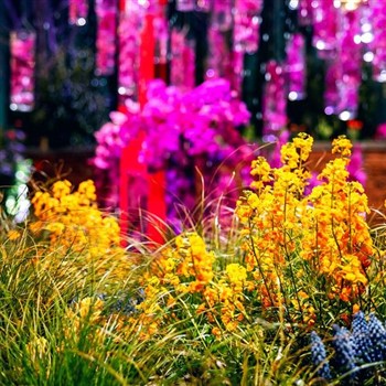 Philadelphia Flower Show